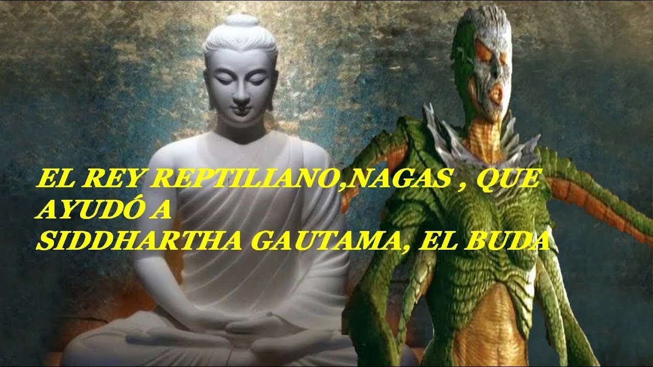 SIDDHARTHA AYUDADO POR EL REY REPTILIANO , BUDA PARTE 2