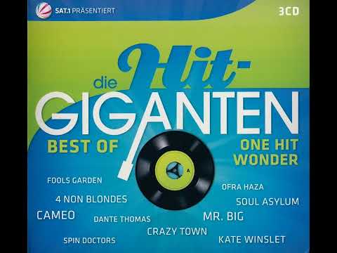Die Hit-Giganten - Best Of One Hit Wonder CD1