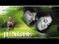 Patli Kamar Jungle