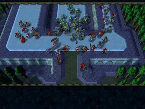 Warcraft 3 Orc VS Human Series : The Beginning Act