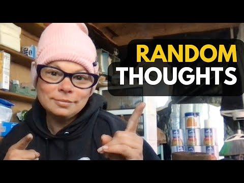 DITL: Quick Homestead Update