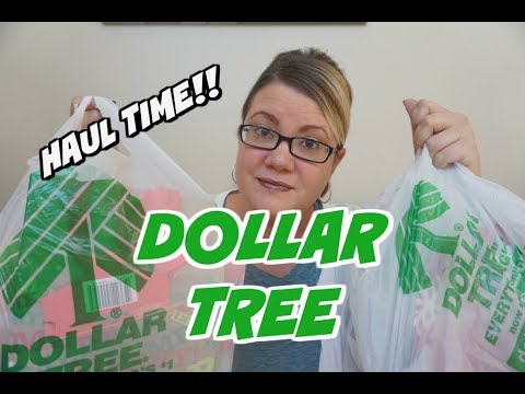 DOLLAR TREE HAUL | NOVEMBER 9TH | NEW FINDS! Video