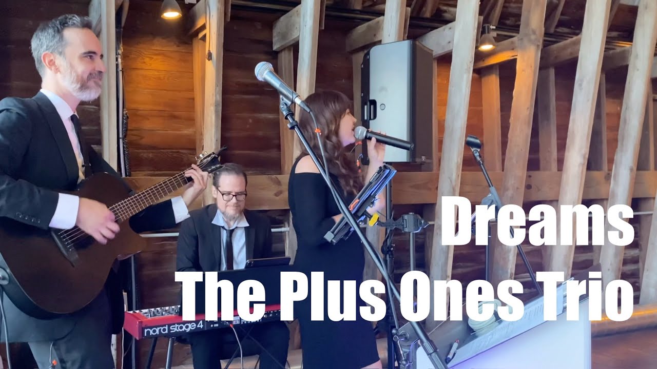 Promotional video thumbnail 5 for The Plus Ones NYC
