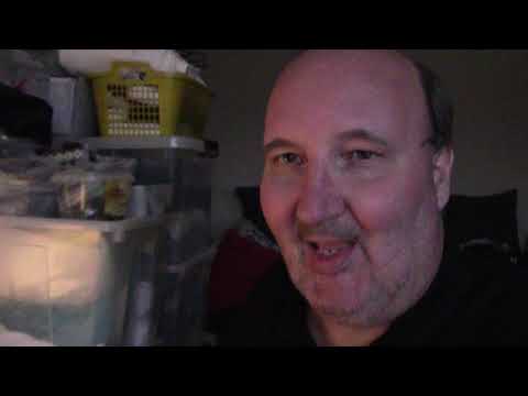 MongoTV_2937 - Spiser Boller i Karry TORSDAG Aften og snakker