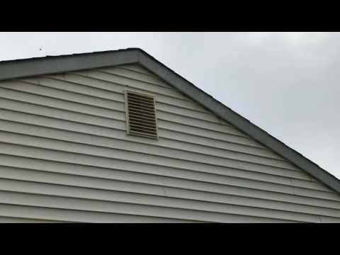 Carpenter Bees Leave Stains on the Siding Forked River, NJ