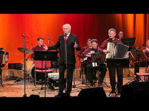 NENAD NIKOLIĆ-Tamo rujne zore sviću