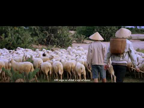 Làm Cha (Shortfilm) - Hoài Lâm [Chất Lượng 4K]