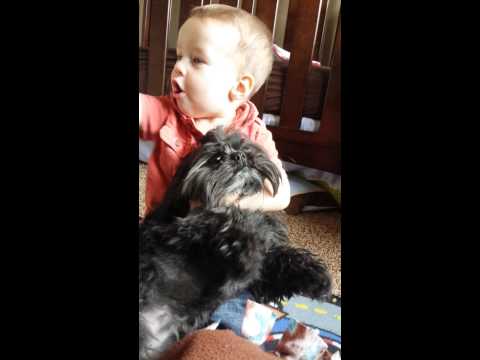 Baby takes dog hostage