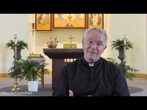 Sunday Game Plan | Fifteenth Sunday in Ordinary Time | Fr. Andrew Wakefield