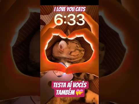 Cat 🥰😻 #cat #photography #lovecats #foryou #viralvideo