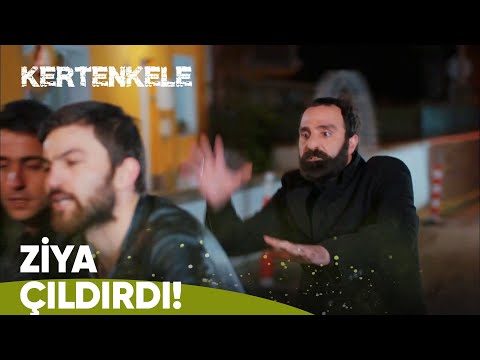 Kötü adamlar Zehra'ya saldırdı! - Kertenkele 21. Bölüm