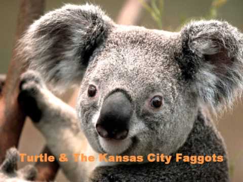 Turtle & The Kansas City Faggots