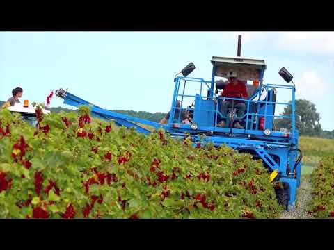 Reč struke ep. 161 13.03.2018. NAJAVA