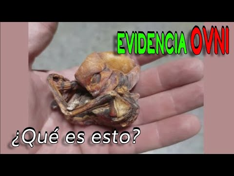 Evidencia OVNI "Encuentro Cercano"