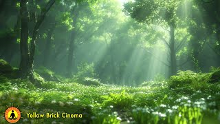 Stress Relief Music, Music for Sleeping, Meditation Song, Soft Music, Spring Ambience, Relaxing