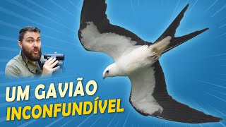 Miniatura do vídeo