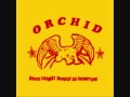 Orchid Snow Delay At The Frankfurt School 