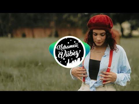 Sean Rii, Jenieo & Sharzkii - Drunk in Love [Deloha x ToNcII BoII x Hillside MoombahChill ReMix]🇻🇺