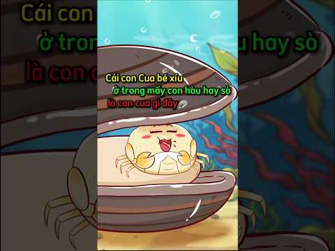 Cái con cua bé xíu trong mấy con hàu hay sò là con cua gì?