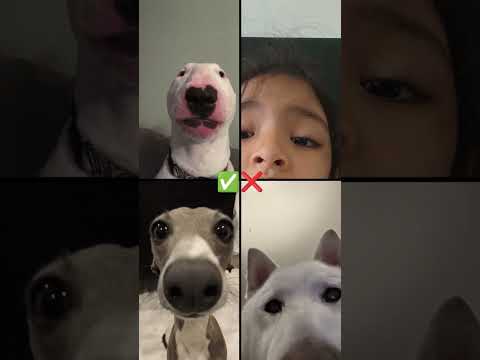 8 de octubre de 2024