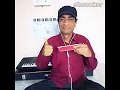 Bekarar Karke Hume Yun Na Jaiye Harmonica Cover