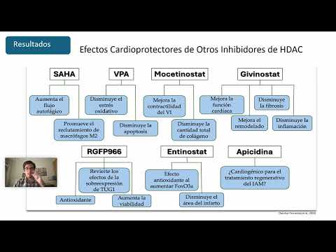 Ver vídeo