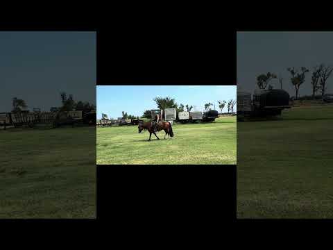 youtube preview
