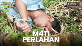 Download lagu TAK BERDAYA! Sena Dibuang Ke Dalam Jurang | TERIKAT JANJI | EPS.186 (4/4) mp3