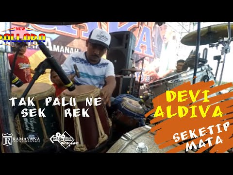 SEKETIP MATA-DEVI ALDIVA-NEW PALLAPA-FT CAK MET-PETRAKA #newpallapa#seketipmata#devialdiva#kyageng