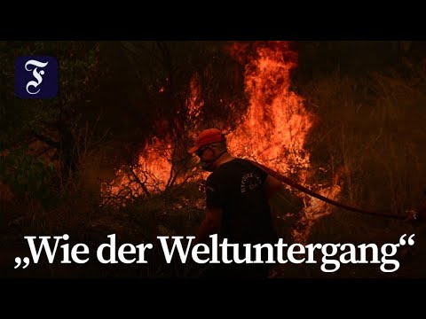 Waldbrände in Südeuropa außer Kontrolle