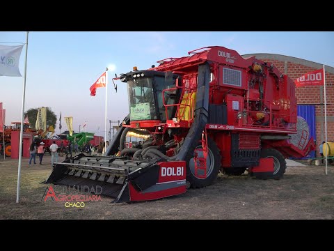 DOLBI S.A. - AGRONEA PAMPA - PAMPA DEL INFIERNO - CHACO