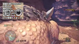 【MHW】関西人ハンター♀、調査に行く！【番外編①】