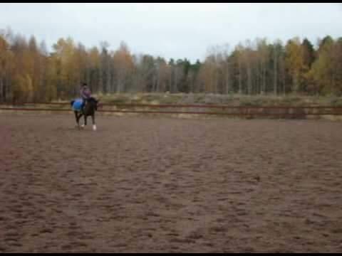 Dancing Queen 2004 e. Don Schufro - Sandro