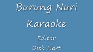 Download lagu Betharia Sonata - Burung nuri karaoke mp3