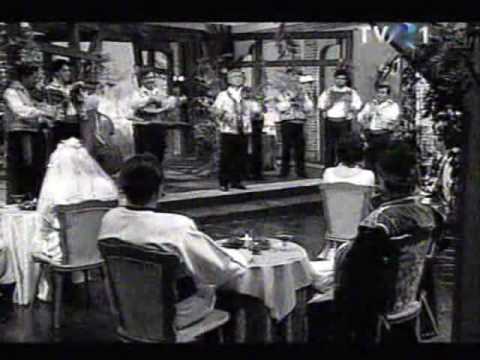 Petrecere cu lautari - Ion Albesteanu