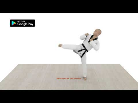 Taekwondo Workout At Home Video