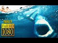 🎥 GREAT WHITE (2021) | Movie Trailer | Full HD | 1080p