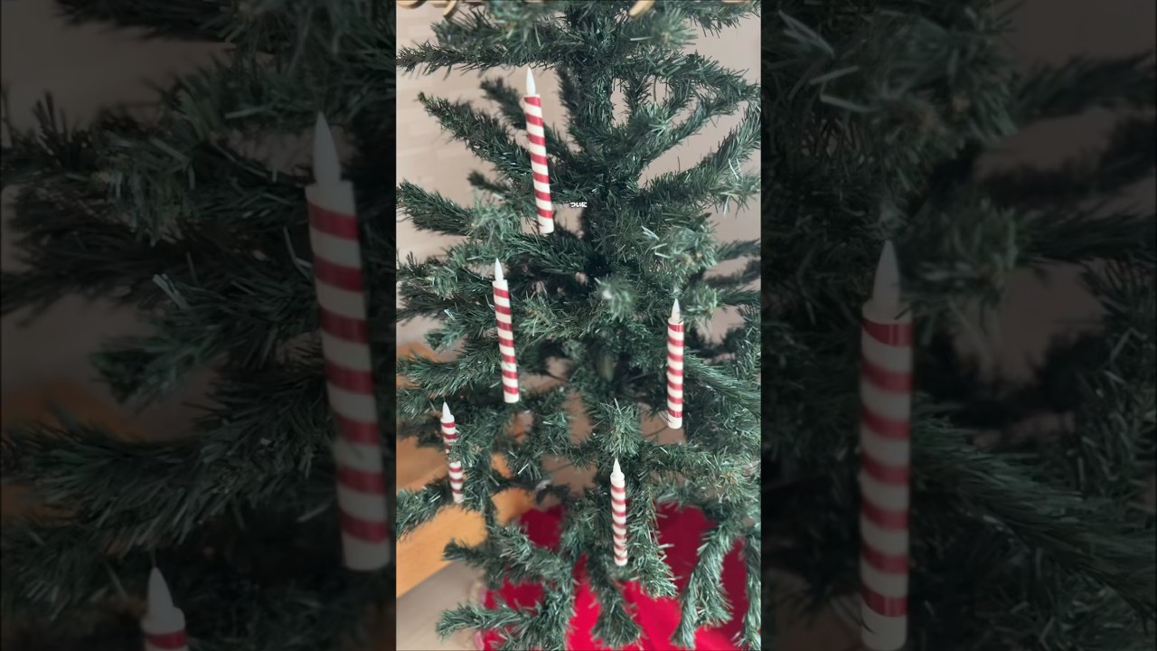 ついに魔法使いになれた🪄✨