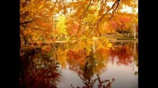 Beautiful Day - Ryan Huston