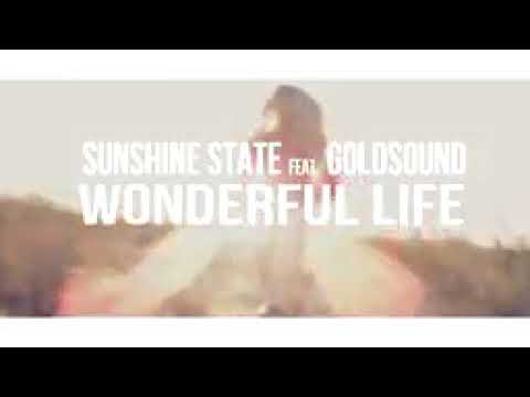 Sunshine State feat Goldsound   Wonderful Life Goldsound Cover 144p