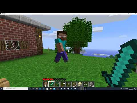 Herobrine found on minecraft pack.png seed!