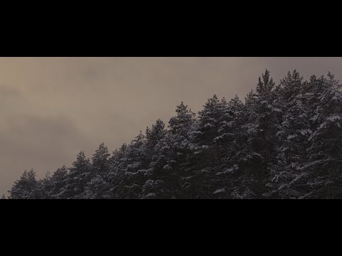 Alina Orlova - Apie Ką Šitas Filmas