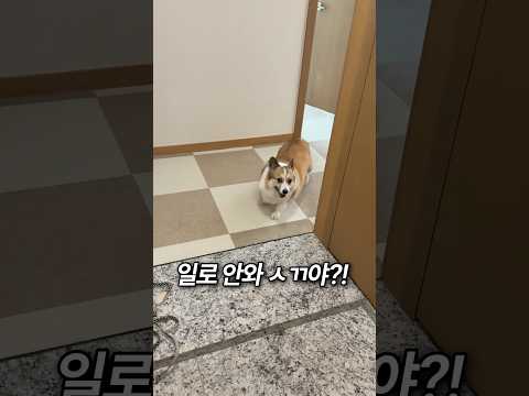 언니 도망가