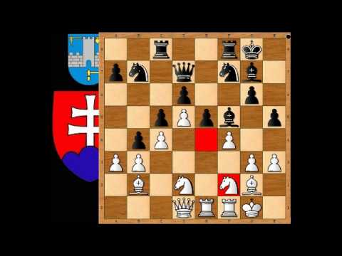 8.5. IM Peter Vavrák - FM Dávid Varga, 1.časť