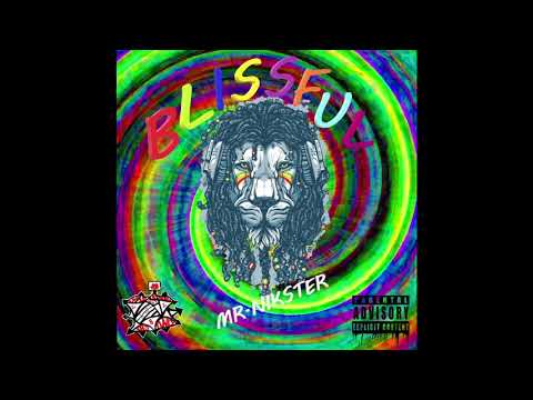Mr.Nikster: Blissful