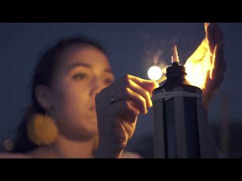 The Pale Moonlight (Official Music Video) | The Reggae Romantics