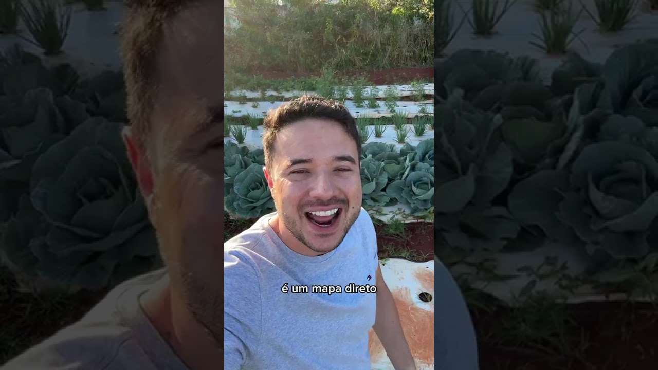 Como realizar o sonho de plantar uma horta e viver dela?