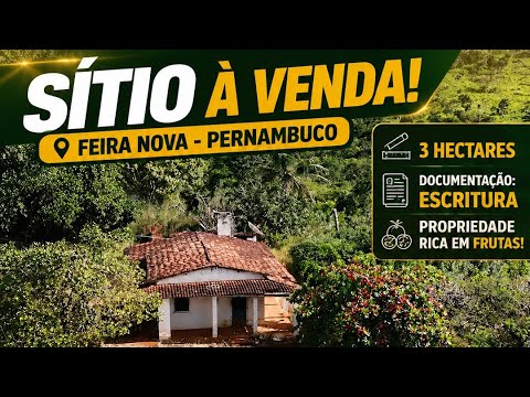 1071#Sítio 3 hectares para vender 120.mil feira Nova Pernambuco 
