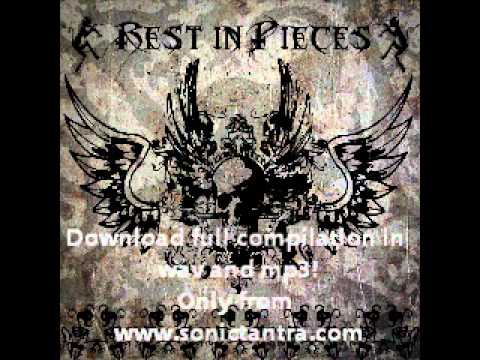 Necropsycho - Whisperer in Darkness (VA - Rest in Pieces, 2009, Sonic Tantra Records)