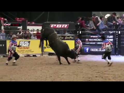 Trey Holston rides Coal Face for 87.5 points
